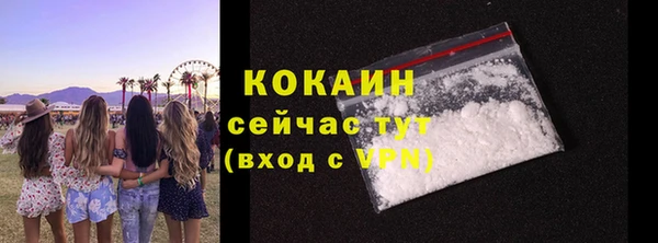 PSILOCYBIN Абаза
