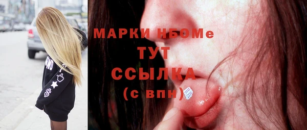 индика Алексин