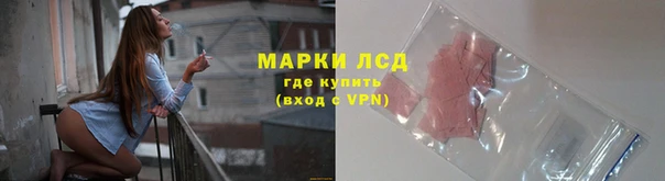 PSILOCYBIN Абаза