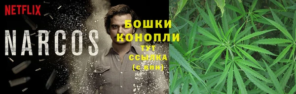 PSILOCYBIN Абаза